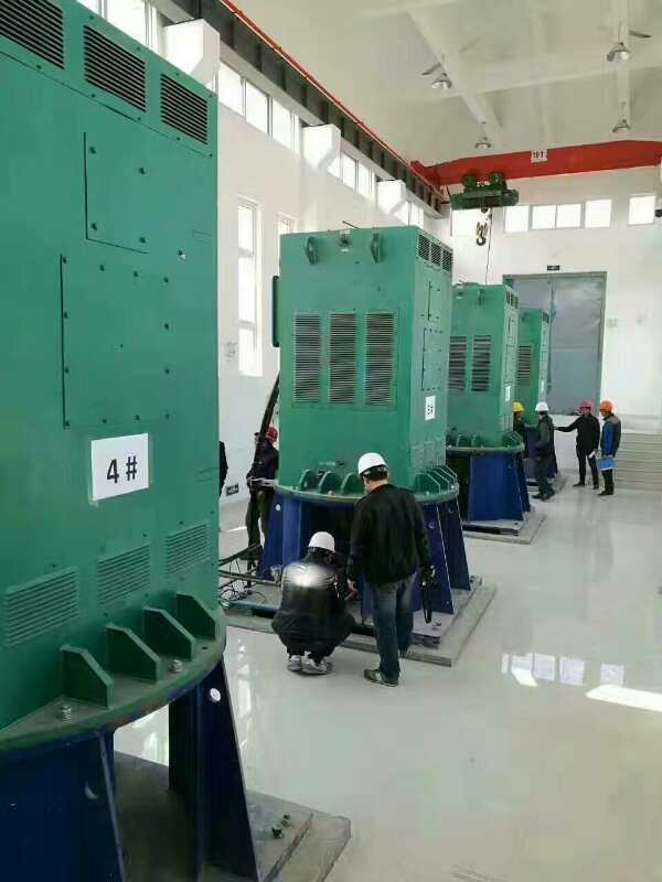 康马某污水处理厂使用我厂的立式高压电机安装现场